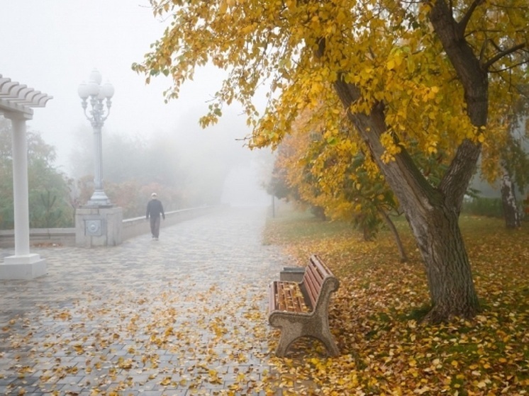 Мощный ветер и гололедица ожидаются в Волгоградской области 8 декабря