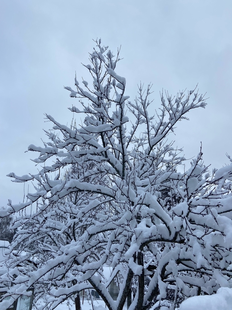 Жителей Якутии, решивших погулять в 30-градусный мороз, эвакуировали спасатели