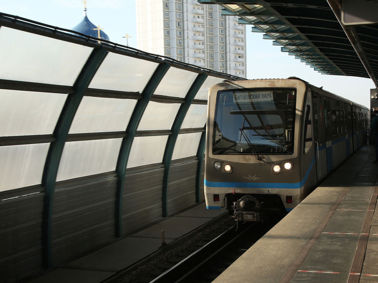 На Большой Кольцевой линии увеличены интервалы поездов из-за падения на пути