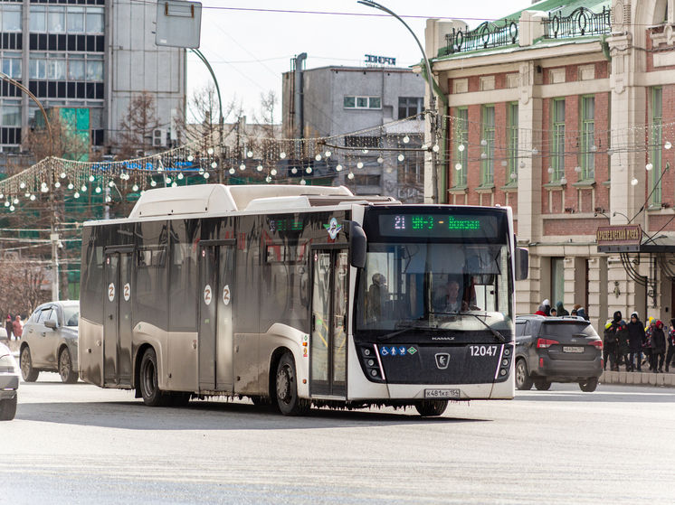 Аномальные морозы в Томской области привели к отмене автобусных рейсов в Новосибирск