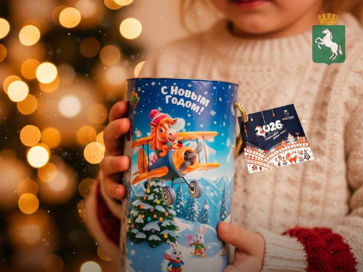 Томская мэрия сохранила традицию новогодних сладких подарков для детей