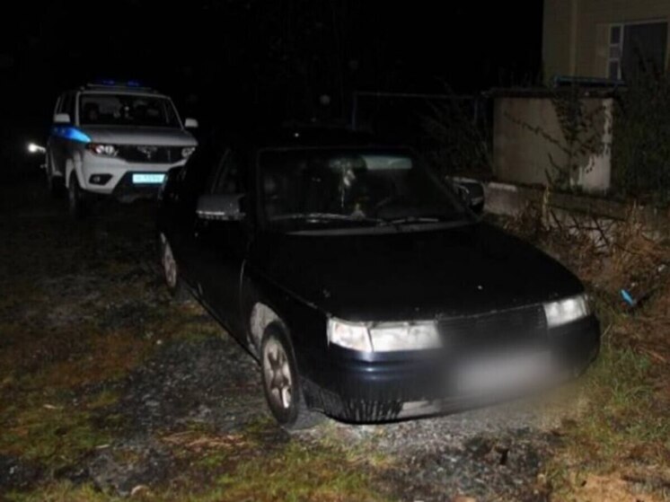 Взрослый и юный автоугонщики ждут суда в Тарко-Сале