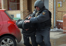 В России вновь набирает обороты сезон активности квартирных воров