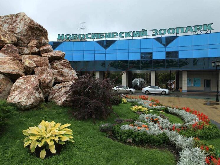 Новосибирский зоопарк отправил 20 тонн помощи коллегам в ДНР