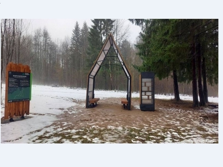 В Перми за сезон провели реновацию мест отдыха в городских лесах