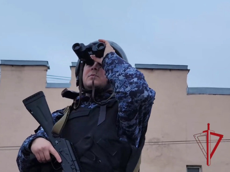 Силы ПВО уничтожили несколько БПЛА в Лужском районе