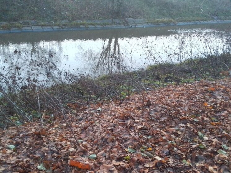 Новгородца отправили на принудительные работы за смерть рабочего в реке Мста