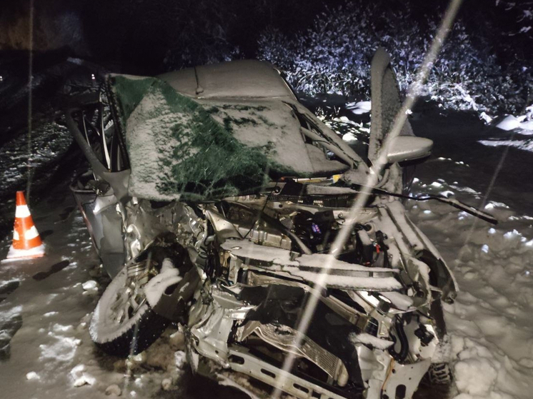 Три смертельных ДТП произошло за эти выходные в Вологодской области