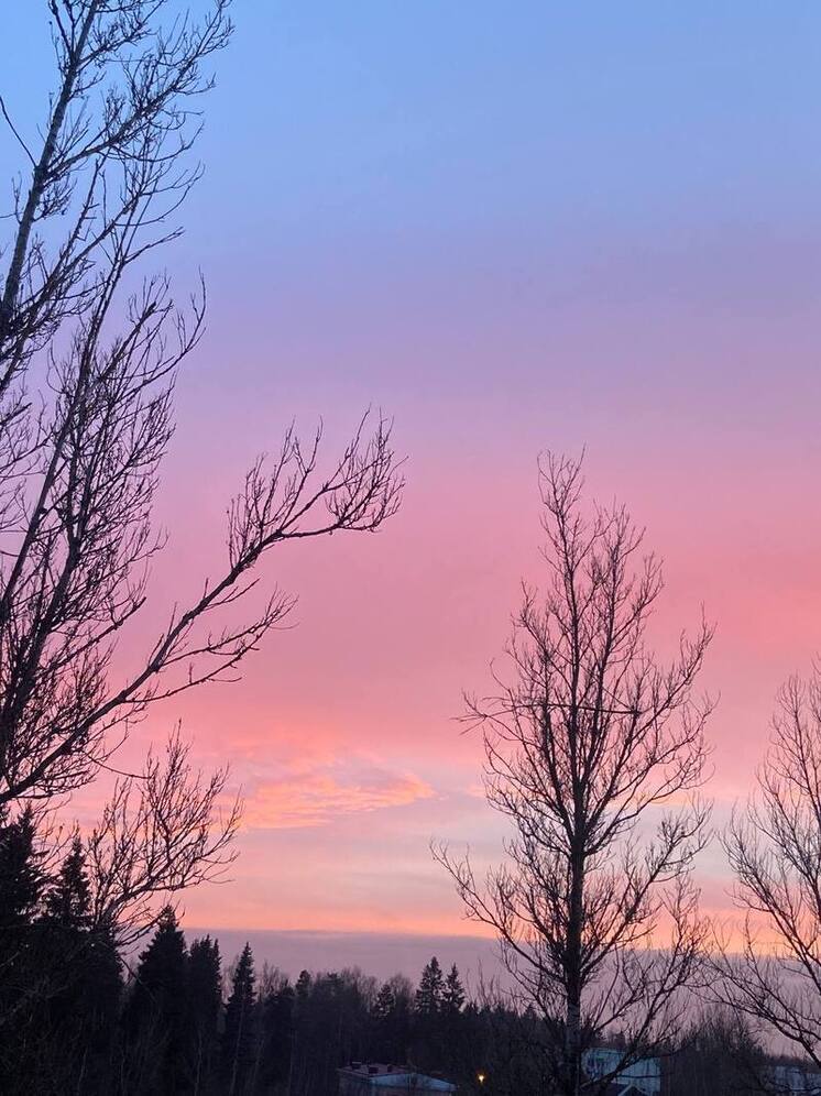 Метеоролог Шувалов:Температура около нуля и дожди будут в столице на этой неделе