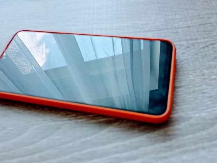 Володин: Платить за вход в электронный школьный дневник - недопустимо