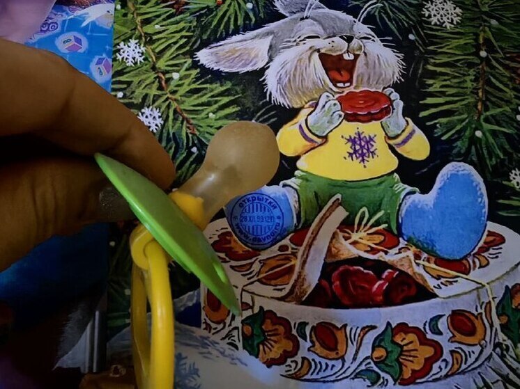 205 семей впервые стали родителями: итоги двух недель в Приморье