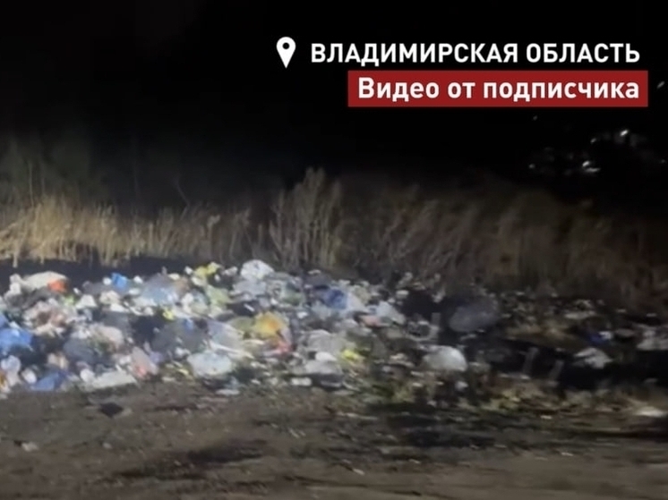  Общественники нашли шины и хлам на М-7 под Владимиром