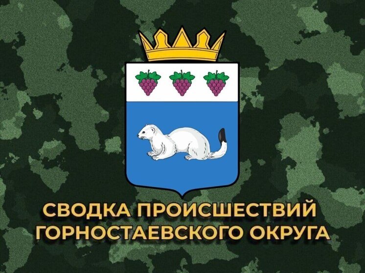 За сутки ВСУ нанесли 16 ударов по Горностаевскому округу