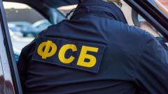 Псковича задержали за призыв  к насильственным действиям против действующей власти