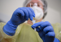 Вспышка африканской чумы свиней в Испании, возможно, произошла из-за утечки вируса из исследовательской лаборатории, говорят официальные лица