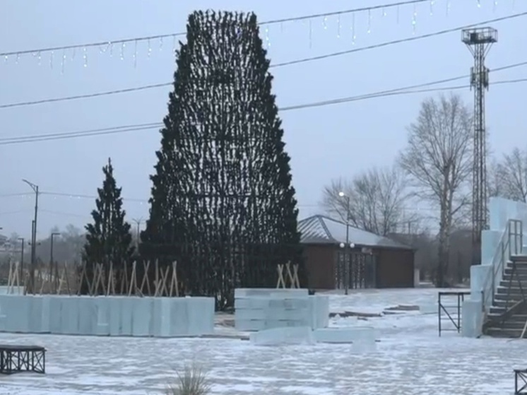 В Черногорске определились с датой открытия новогодних елок