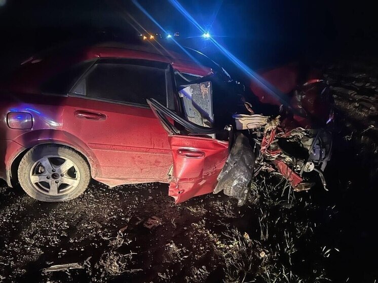 В Нижнедевицком районе погиб водитель, врезавшись на авто во встречный грузовик