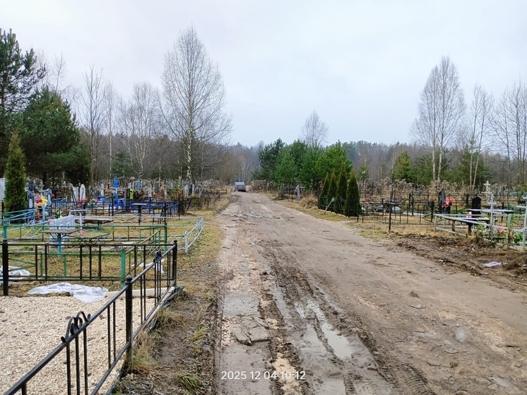 В Коврове по требованию прокурора очистили от мусора кладбище