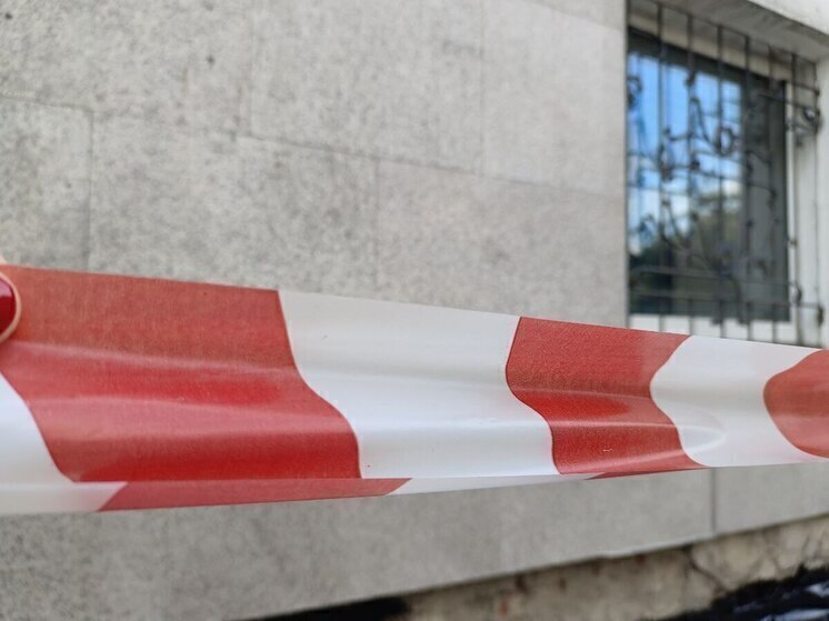 Очередной очаг бешенства обнаружили в Алтайском крае в начале декабря