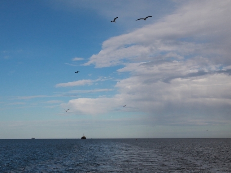 В Северодвинске пройдут учебные стрельбы со стороны военного порта