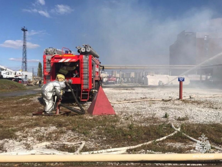 В Ростовской области за минувшую неделю погибло пять человек