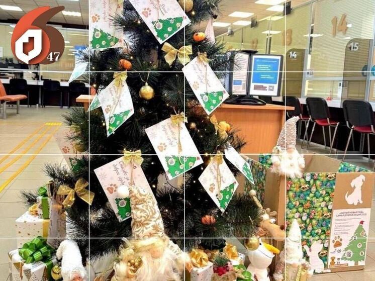 В МФЦ Ленобласти до 30 декабря будут собирать корм для животных