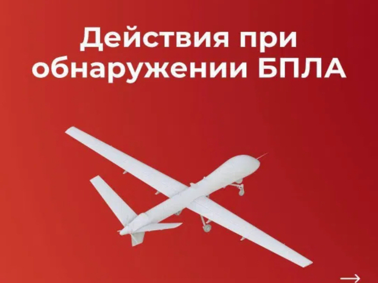 Над Смоленской областью подавлен украинский БПЛА: пострадавших и разрушений нет