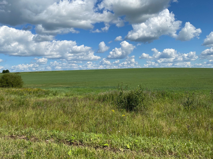 Калужская область вошла в число лучших по эффективности земельного контроля