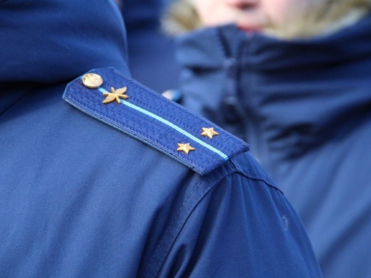 Новая профессия для героя
Поддержка ветеранов специальной военной операции остается одним из ключевых направлений работы правительства Хабаровского края