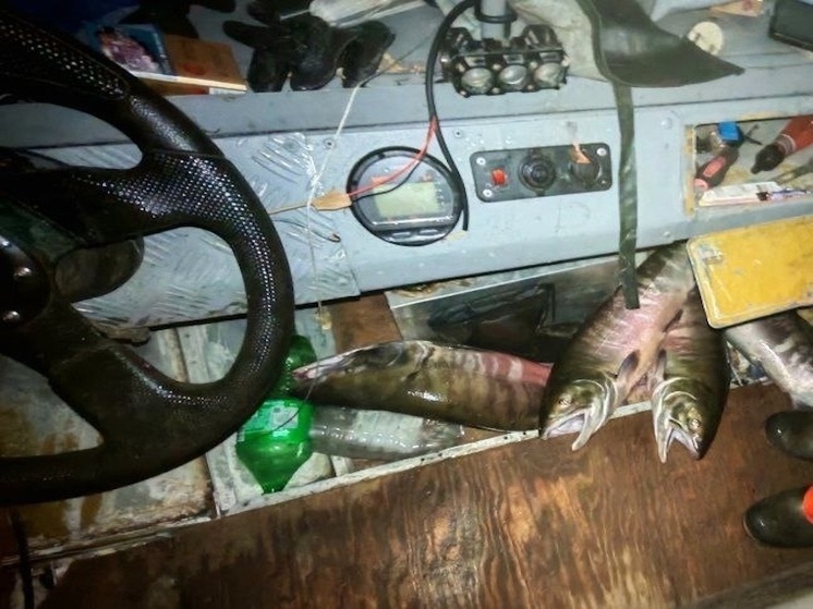 Попались на кете: троих браконьеров в Амурском районе ждёт суд