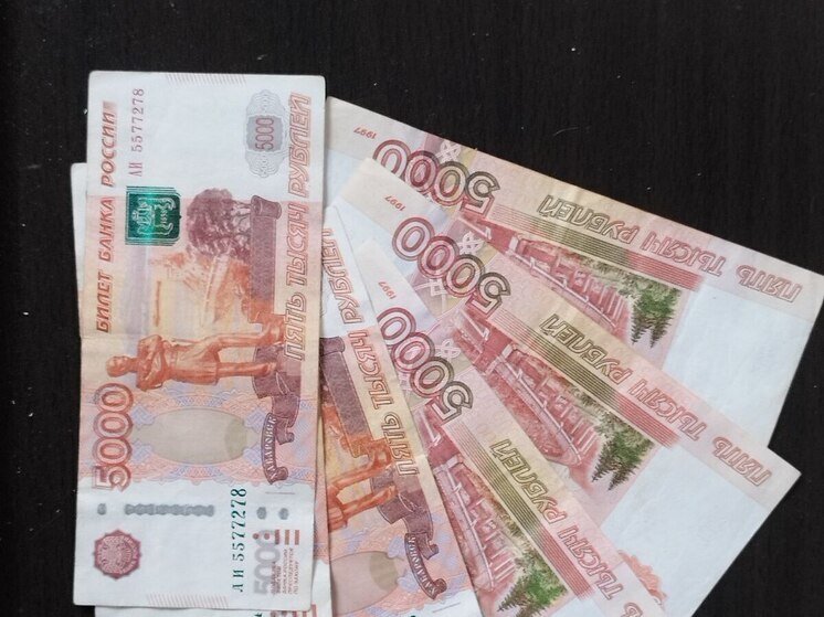 Основателя сервиса доставки Куниса оштрафовали в Петербурге за переводы ФБК*