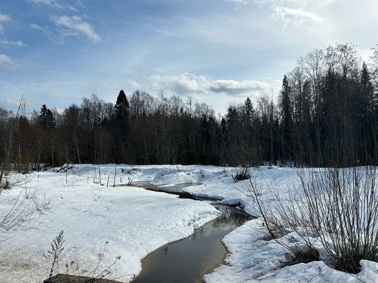 О погоде на Вологодчине: снегопад, оттепель, дождь, похолодание