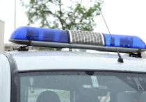 Пара из штата Юта предстала перед судом по обвинению в убийстве своей полуторагодовалой дочери