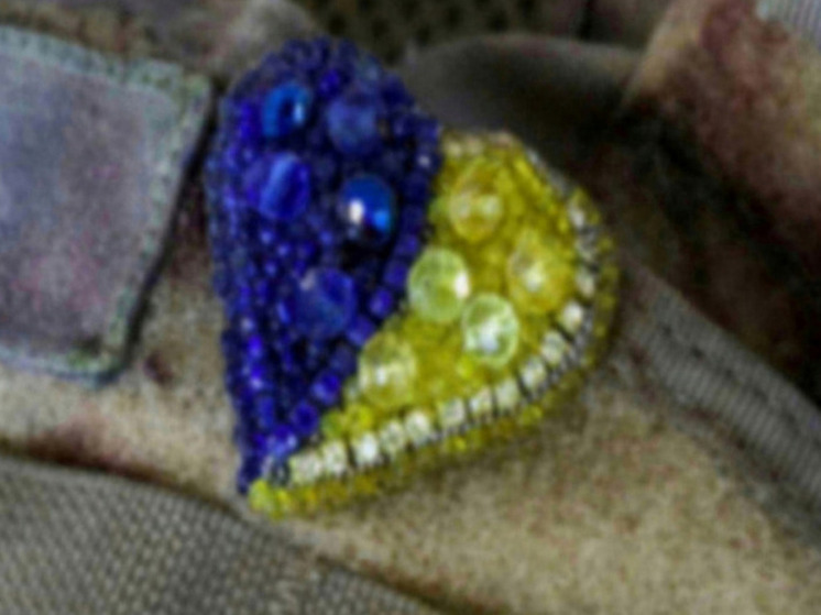 ТАСС: под Гуляйполем ударами ФАБ практически уничтожен штурмовой полк