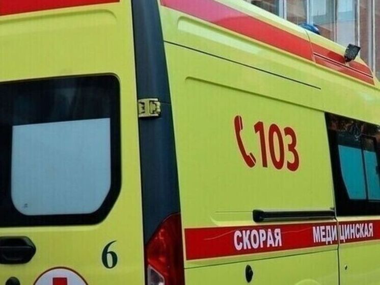 В Курской области мужчина выжил после того, как его переехал многотонный грузовик