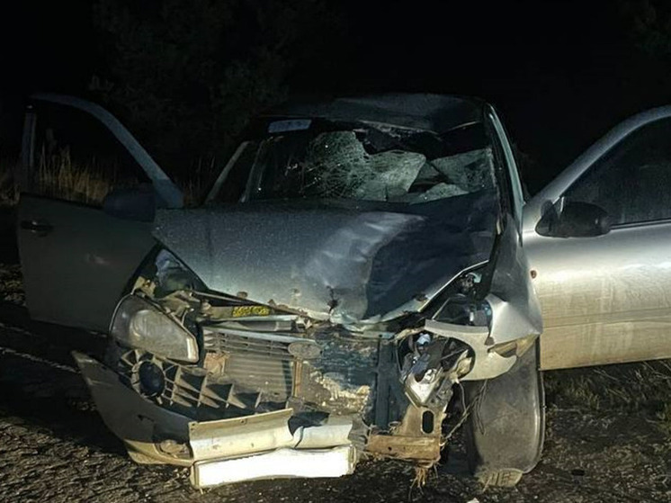 Пьяный водитель насмерть сбил 11-летнюю девочку и её отца в Рязанской области