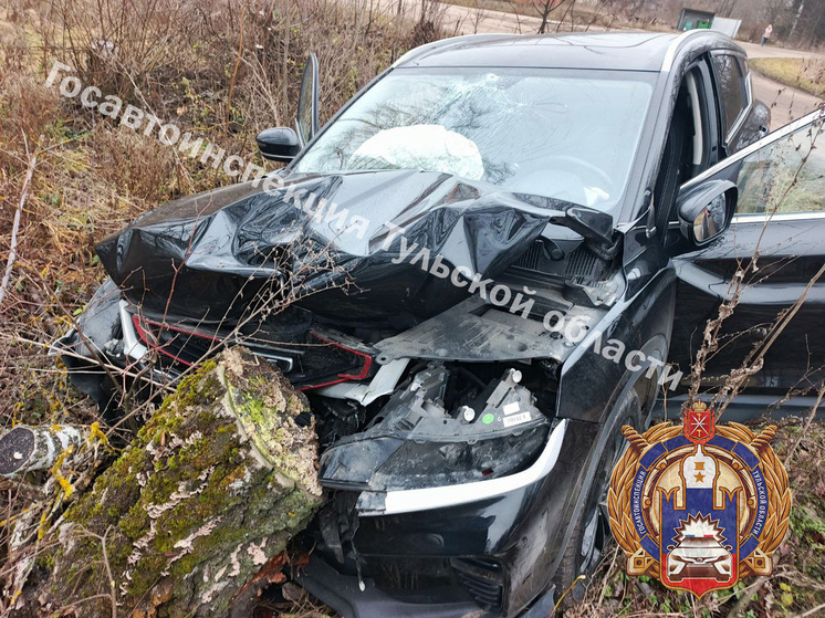 В Тульской области зумер на кроссовере Belgee улетел в кювет и снес дерево