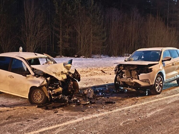 Два ДТП с выездом на встречку произошли в Архангельской области