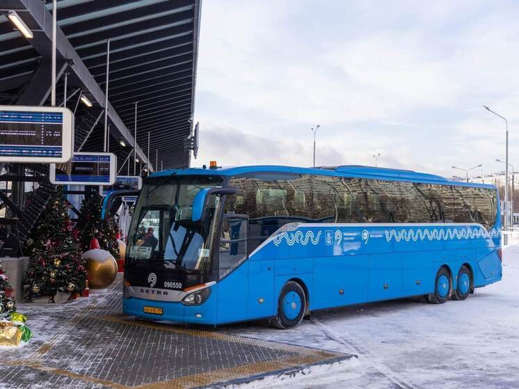 Заммэра Ликсутов: все пять автовокзалов Москвы готовы к новогодним праздникам