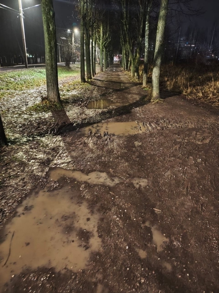 Ивановцы рассказали об очень темной аллее родного города