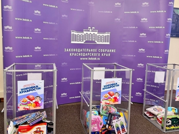 Депутат ЗСК Олег Бойченко принял участие в благотворительной акции «Коробка храбрости»