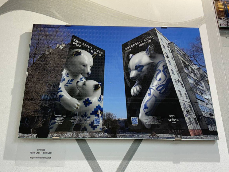 На Берлинской неделе искусств представили фотографию благовещенского мурала