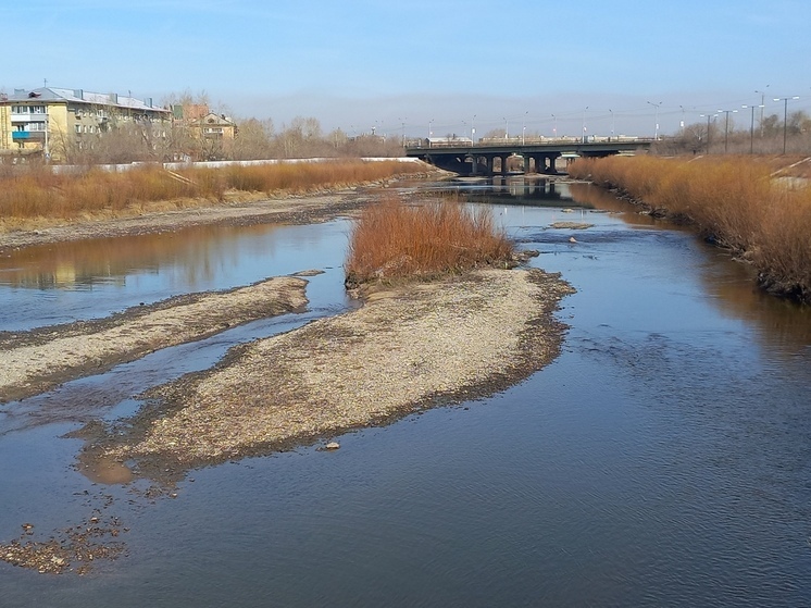 «Водоканал» в Чите обязали выплатить 1,5 млн экологического ущерба