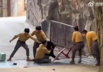 Страшный инцидент случился в китайском сафари-парке в провинции Чжэцзян в субботу