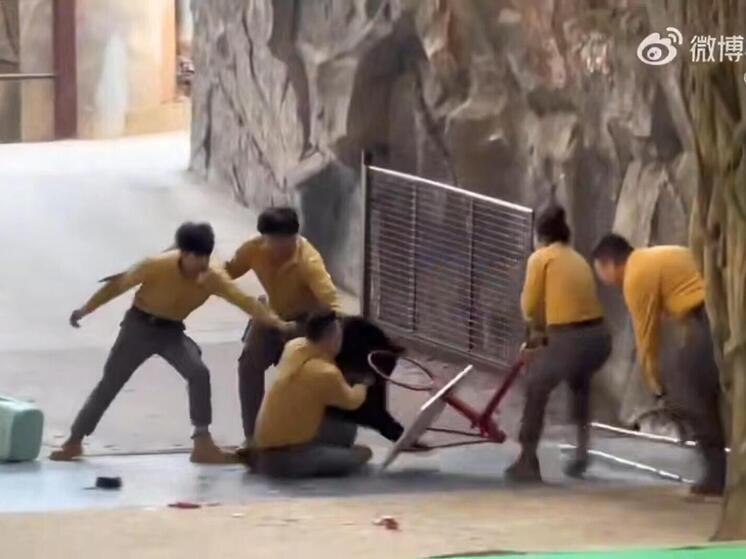 В китайском сафари-парке медведь напал на своего проводника из-за запаха лакомств