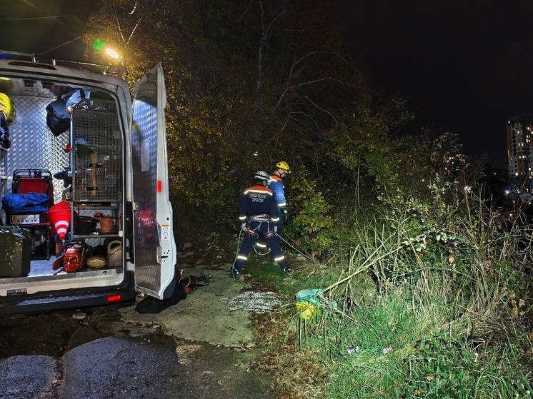 Спасатели эвакуировали мужа и жену, упавших с крутого оврага в Сочи