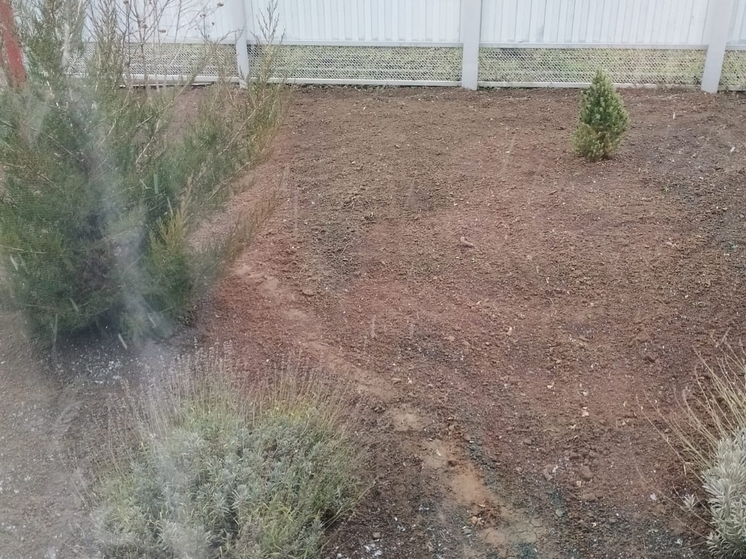 На юге Ростовской области выпал первый декабрьский снег