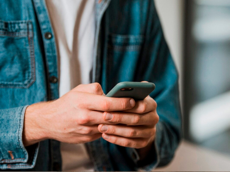 Липецкие сервисы останутся доступными даже при ограничении мобильного интернета