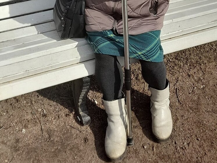 С 2026 года россиянам не придется самим обращаться в СФР, чтобы узнать о присвоении статуса предпенсионера — уведомления будут приходить автоматически