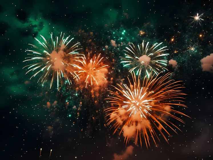 Губернатор попросил тамбовчан встретить Новый год без фейерверков